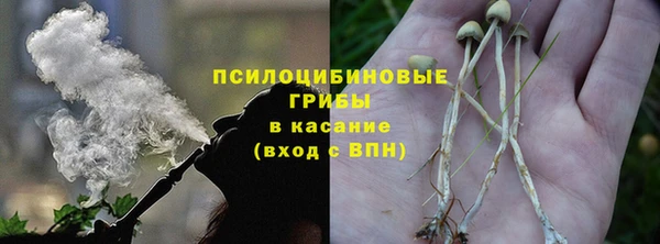 стафф Алексеевка