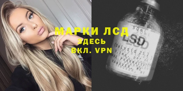 мяу мяу мука Абаза
