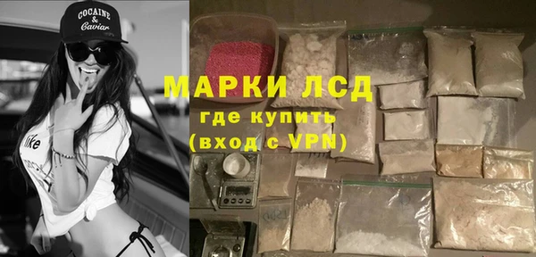мяу мяу мука Абаза