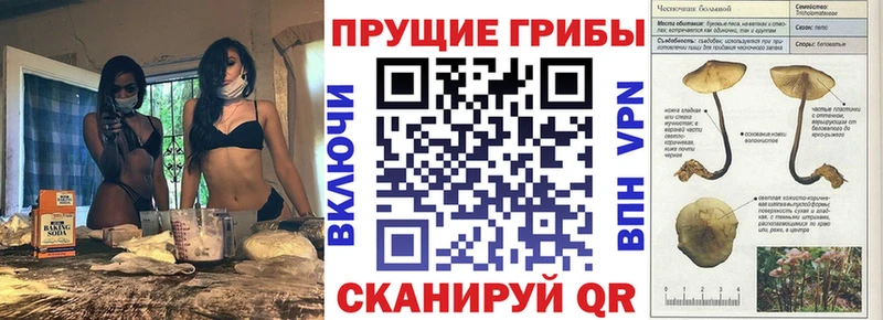 Галлюциногенные грибы мухоморы цена Вилючинск